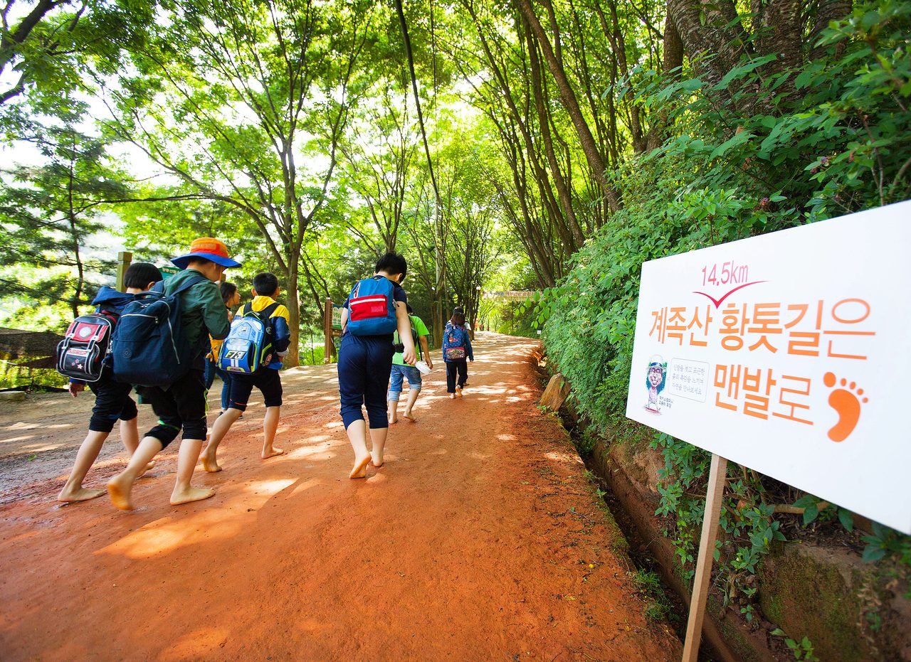 대전 계족산 황톳길 — TripAudio